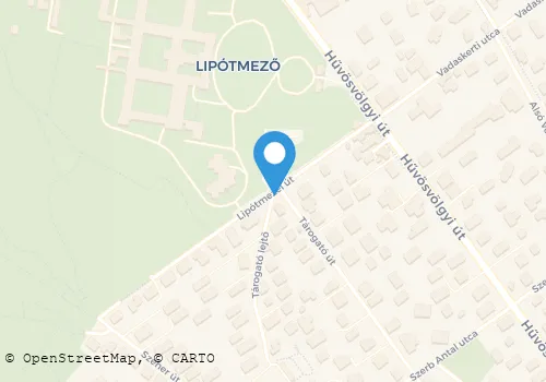 Térkép