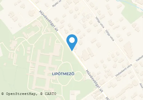 Térkép