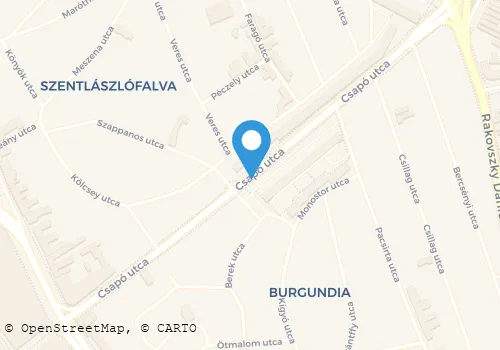 Térkép