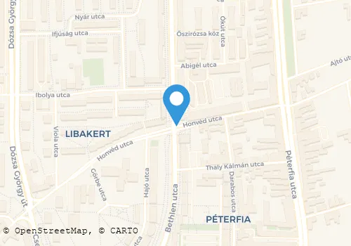 Térkép