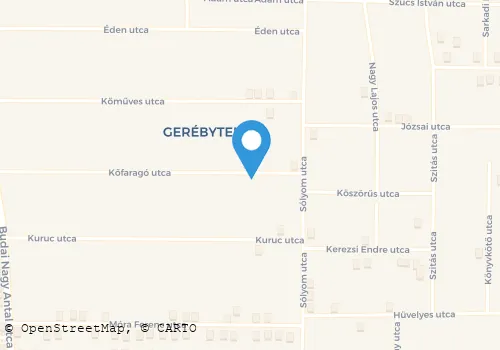 Térkép