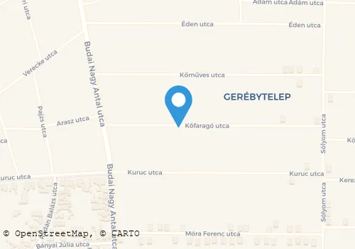 Térkép