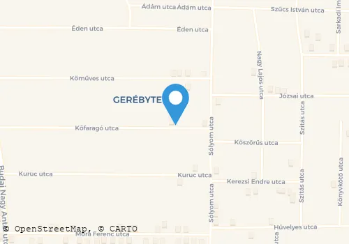 Térkép