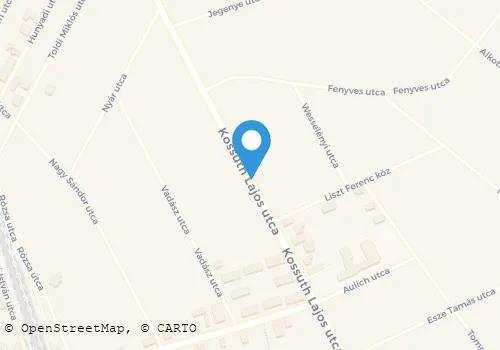 Térkép