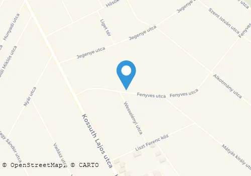 Térkép