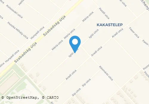 Térkép