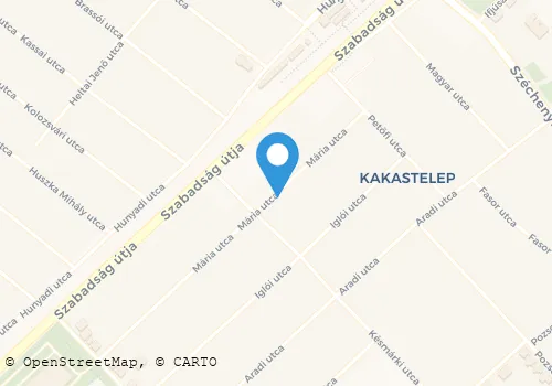 Térkép