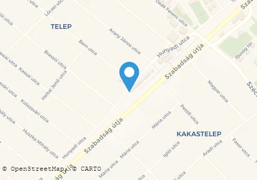 Térkép