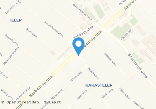 Térkép