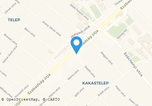 Térkép