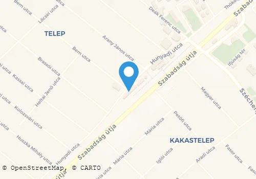 Térkép