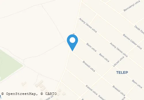 Térkép