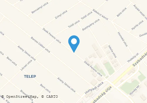 Térkép