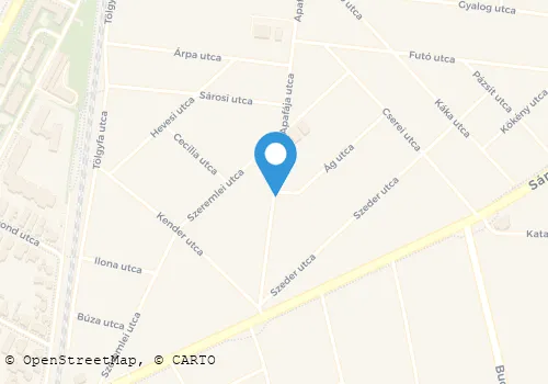 Térkép