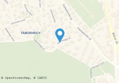 Térkép