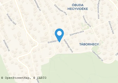 Térkép