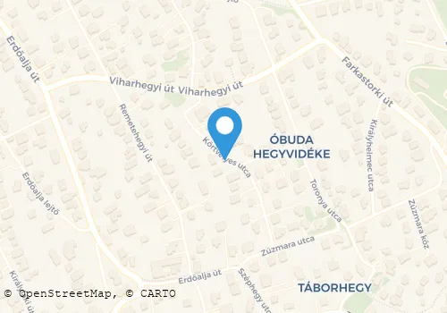 Térkép