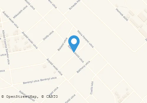 Térkép