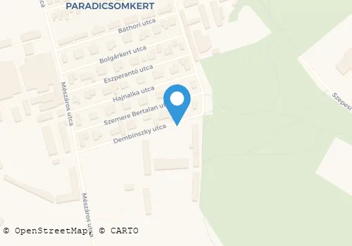 Térkép