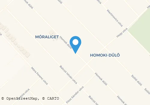 Térkép