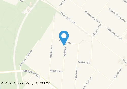 Térkép