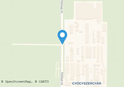 Térkép