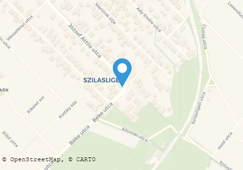 Térkép