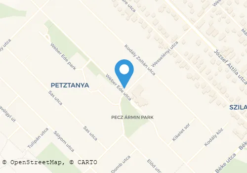 Térkép