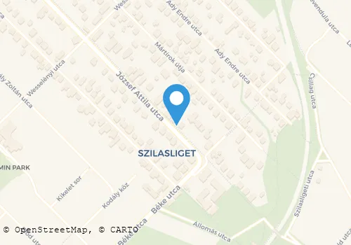 Térkép