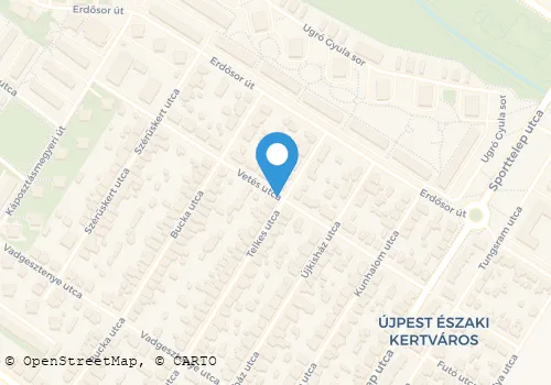 Térkép