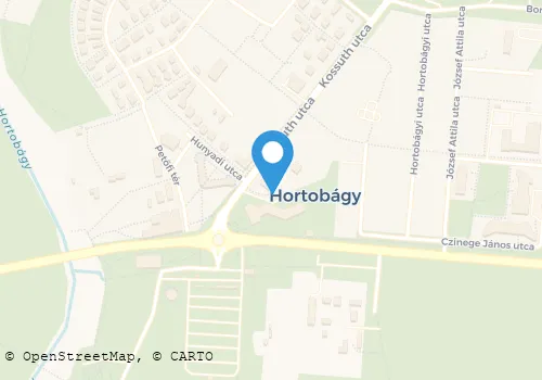 Térkép