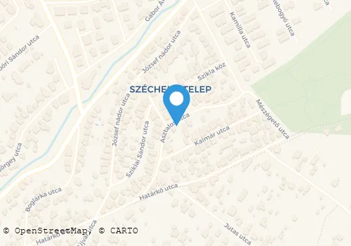 Térkép