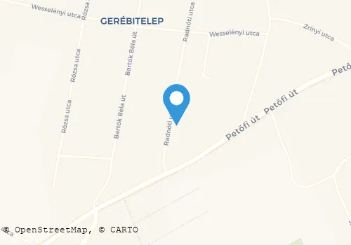 Térkép