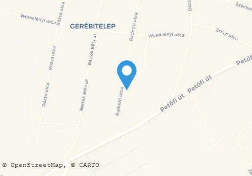 Térkép
