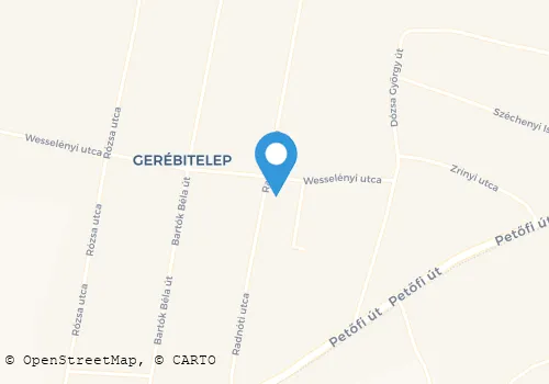 Térkép
