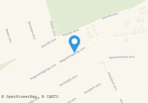 Térkép