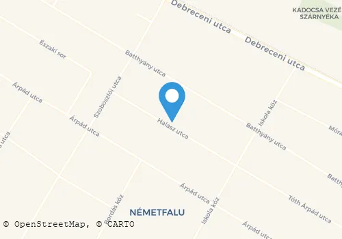 Térkép