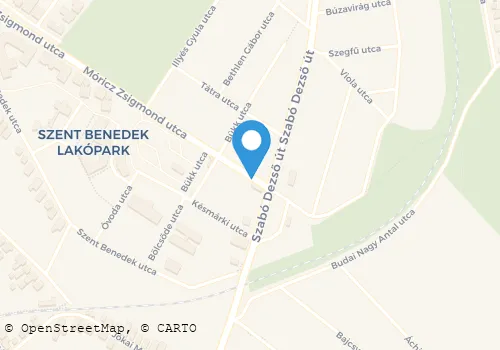 Térkép