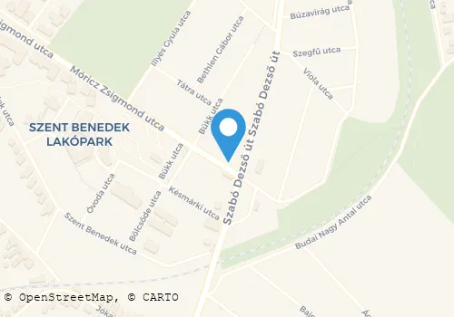 Térkép