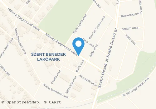 Térkép