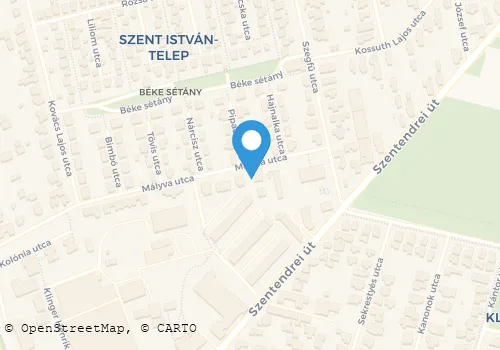 Térkép