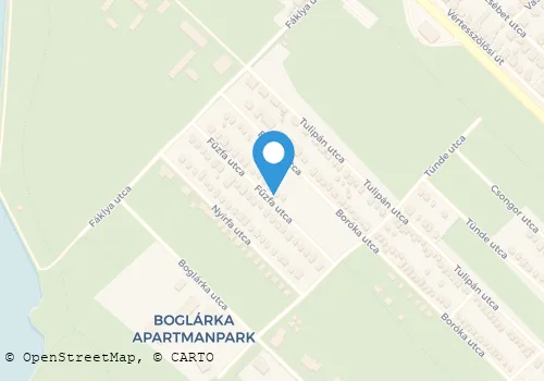 Térkép