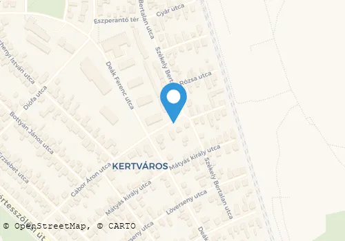 Térkép