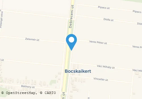 Térkép