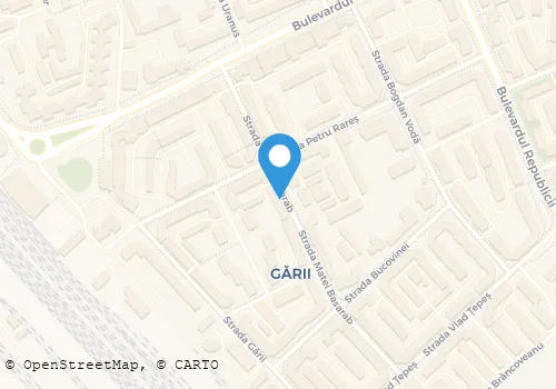 Hartă