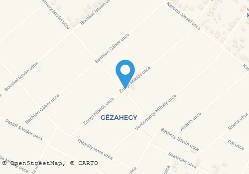 Térkép