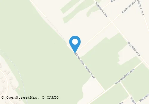 Térkép