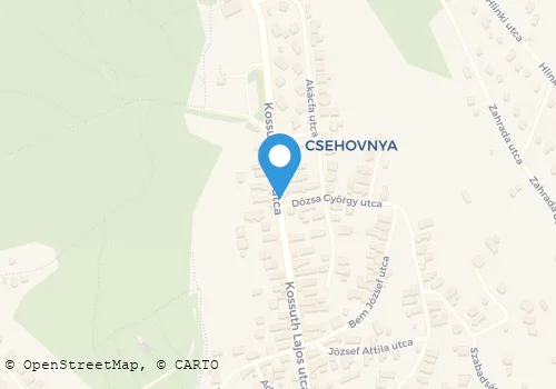 Térkép