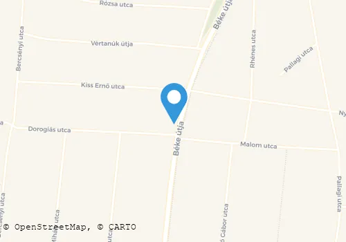 Térkép