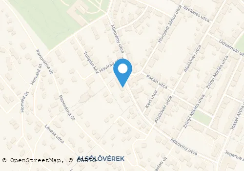 Térkép